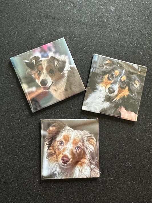 3 Pack Photo Magnets